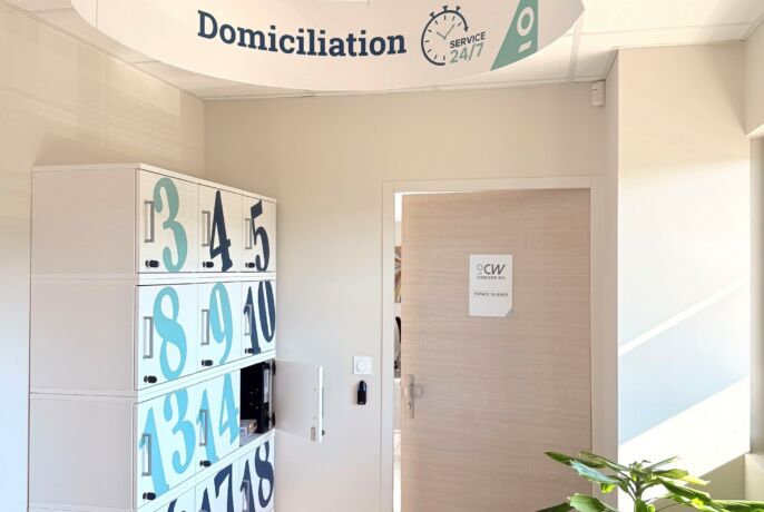Box Domiciliation